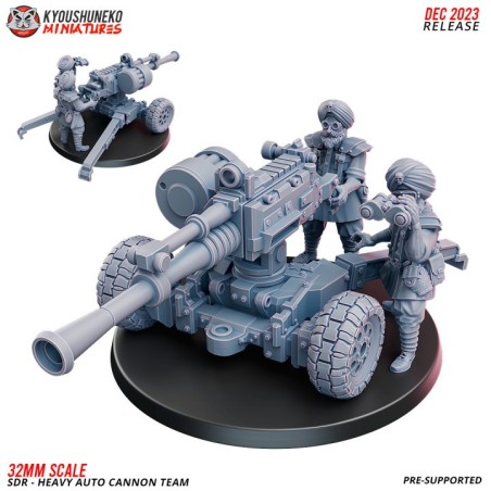 Sikh Desert Raiders Heavy Autocannon