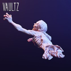 VaultZ Walking Dead Hannah Zombie