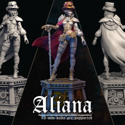 Dungeons and Maidens - Aliana the Time Traveler