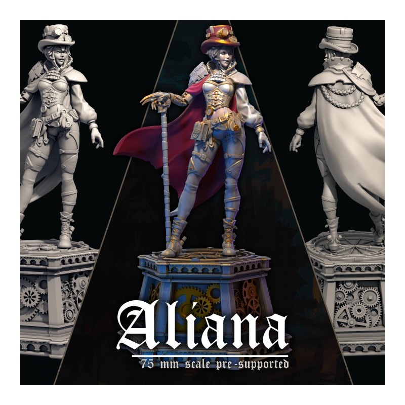 Dungeons and Maidens - Aliana the Time Traveler