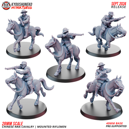 Chinese NRA Mounted Cavalry Rifles x5 Pack