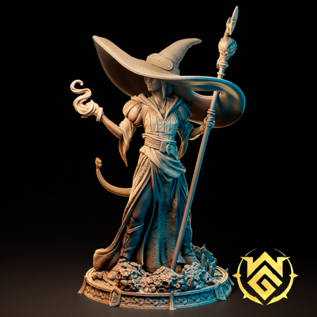 The Witchguild - Brim Wizard