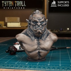 TytanTroll - Orc 01 Bust